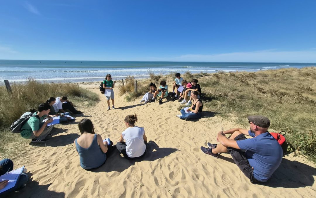 Explorer la Vendée, de la dune aux marais